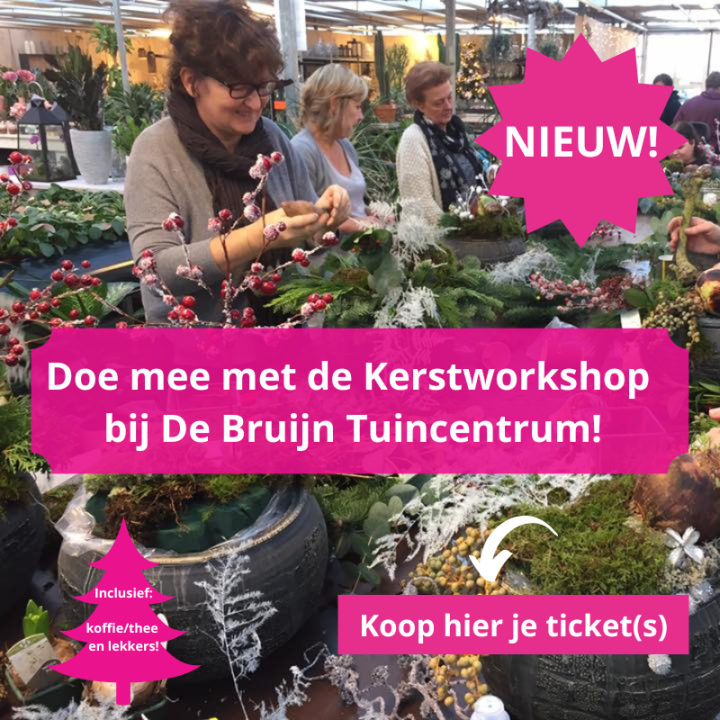 Kerstworkshop De Bruijn