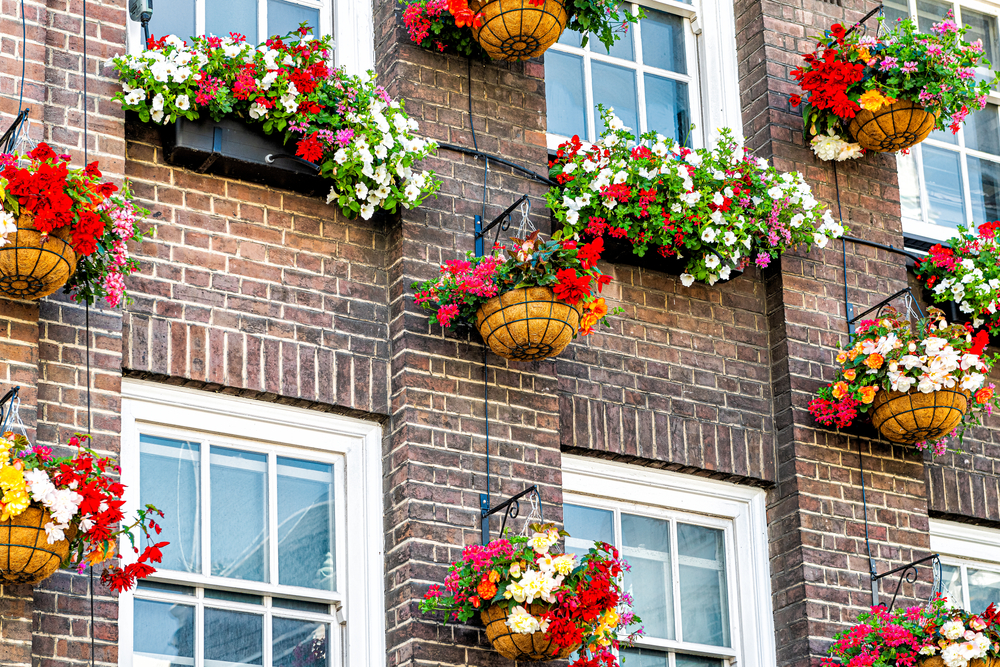 Hangplanten aan de voorgevel