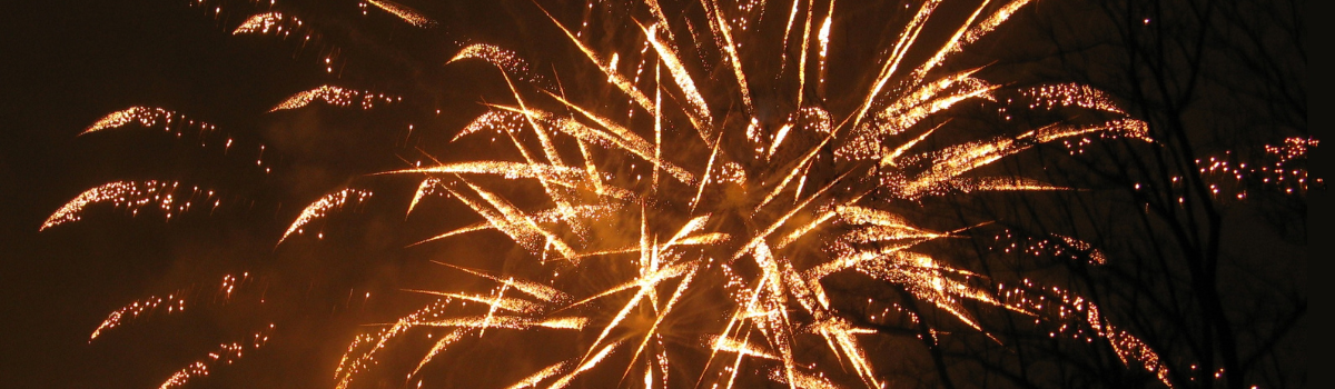 Vuurwerk - De Bruijn Vuurwerk - Vuurwerk Houten - Tuincentrum de Bruijn