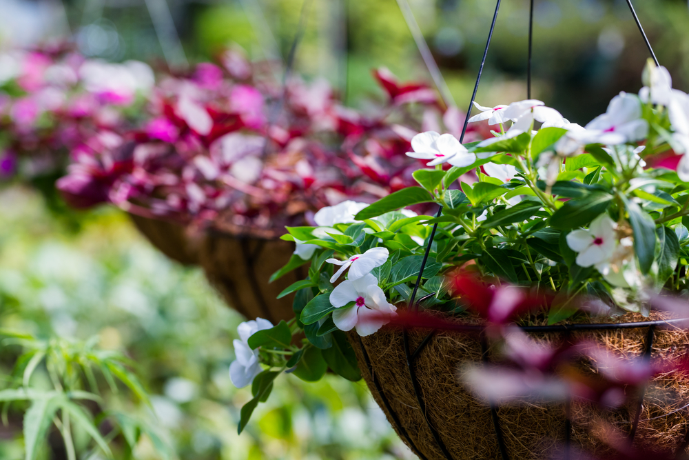 Engelse-hanging-basket-maken