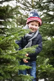 Gezien in de folder: echte kerstbomen verzorgen