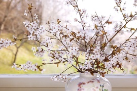 Haal de lente in huis met bloesemtakken