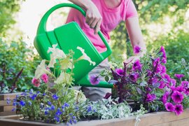 Vijf tips voor het bewateren van je tuin deze zomer