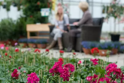 Tuincentrum De Bruijn