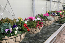 2: Workshop Winterbasket | Zaterdag 9 oktober 2026 14:00-16:00 uur - afbeelding 2