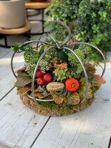 Herfststuk maken | 3 Okt 2026 09:30-11:30 uur