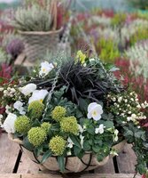 Workshop: Winterbasket maken 2024